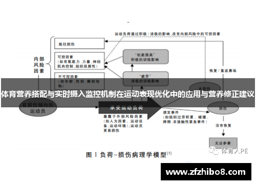体育营养搭配与实时摄入监控机制在运动表现优化中的应用与营养修正建议