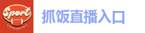 抓饭直播入口
